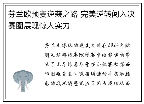 芬兰欧预赛逆袭之路 完美逆转闯入决赛圈展现惊人实力